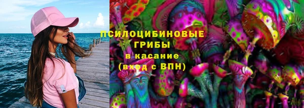 мяу мяу мука Арсеньев