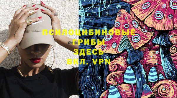 мяу мяу мука Арсеньев