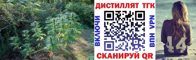 ТГК концентрат  магазин    Приволжск 
